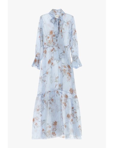 Vestido Longo Com Estampa Floral E Colarinho Com Laço Dixie