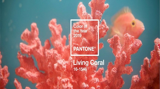Living Coral: a cor de 2019